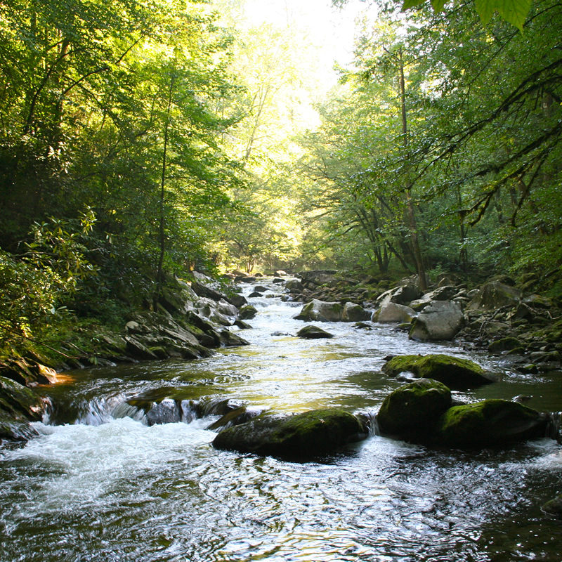 Natural Resources - Middle Prong of Little Pigeon River 